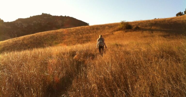 Trails - Woman Walking on Brown Grass Field Under Blue and White Sky during Daytime